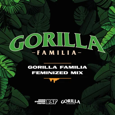 Gorilla Familia Feminized Mix Marijuana Seeds