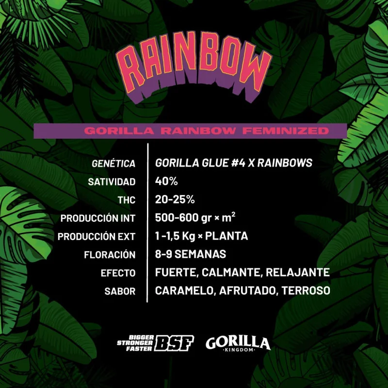 Gorilla Rainbow Feminized Marijuana Seeds