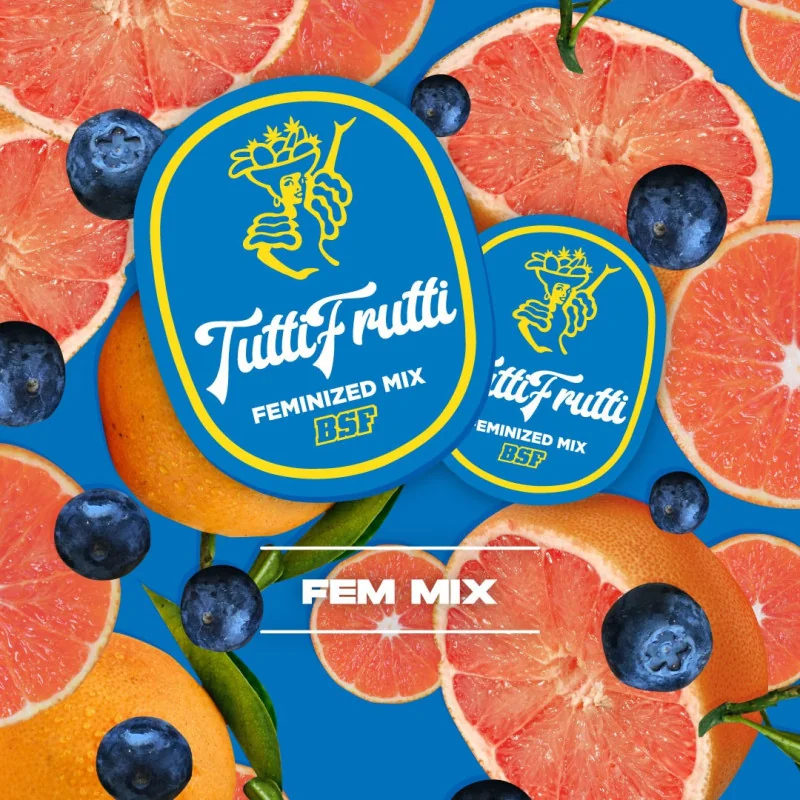Tutti Frutti Feminized Mix Marijuana Seeds