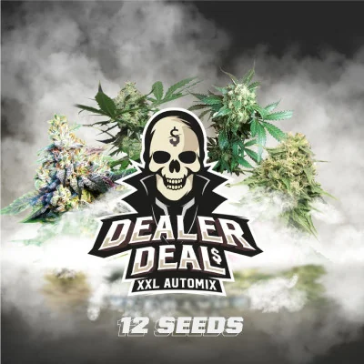 Semillas de Marihuana Dealer Deal XXL Automix: 12 semillas BSF Seeds