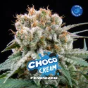 Semillas de Marihuana Choco Cream Feminized
