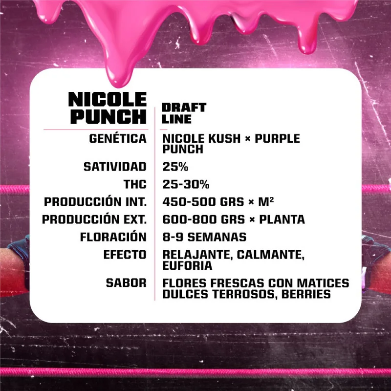 Nicole Punch Feminized Marijuana Seeds