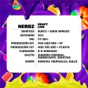 Nerdz Feminized Marijuana Seeds