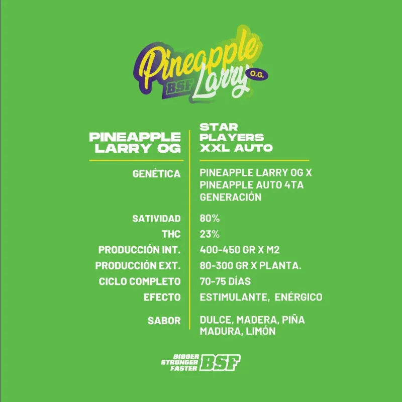 Pineapple Larry OG XXL Auto Marijuana Seeds
