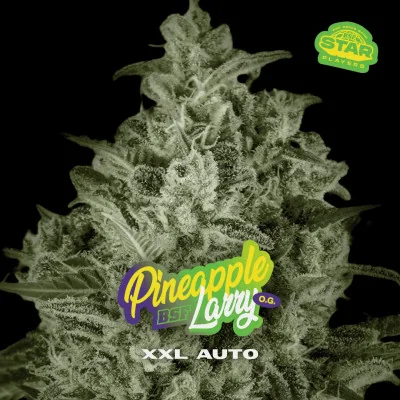 Pineapple Larry OG XXL Auto Marijuana Seeds