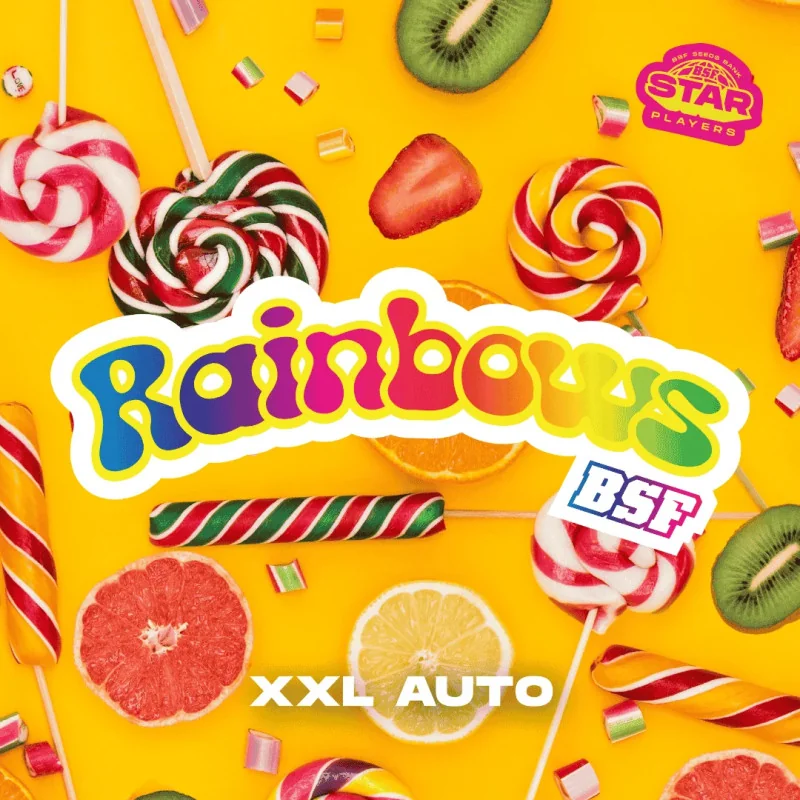 Semillas de Marihuana Rainbows XXL Auto