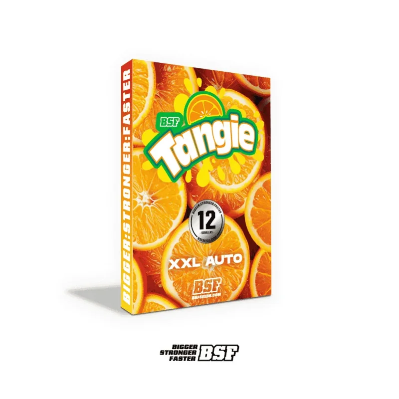 Tangie XXL Auto Marijuana Seeds