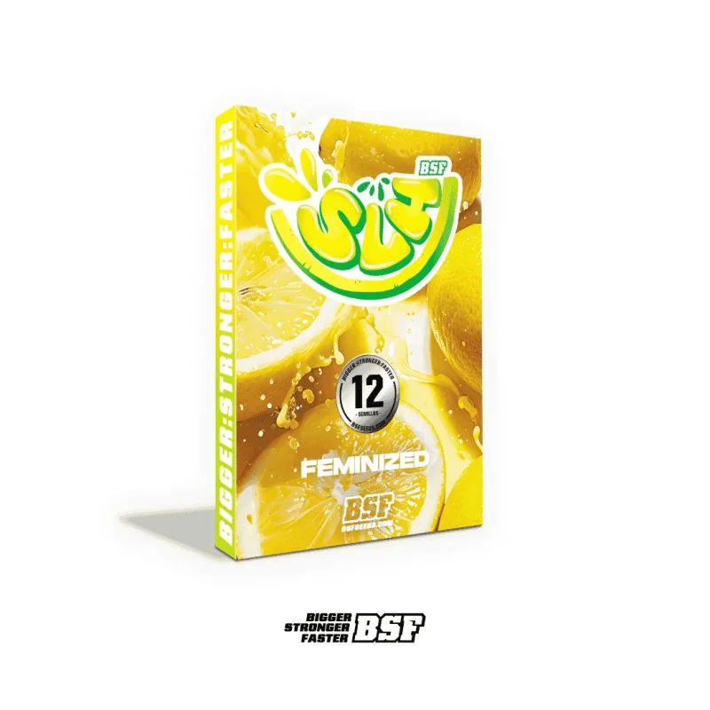 Super Lemon Haze Marijuana Seeds