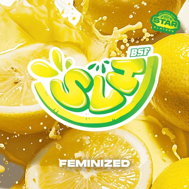 Super Lemon Haze Marijuana Seeds