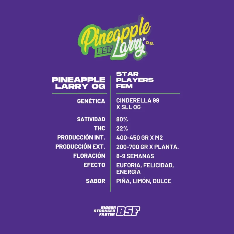 Pineapple Larry OG Fem Marijuana Seeds