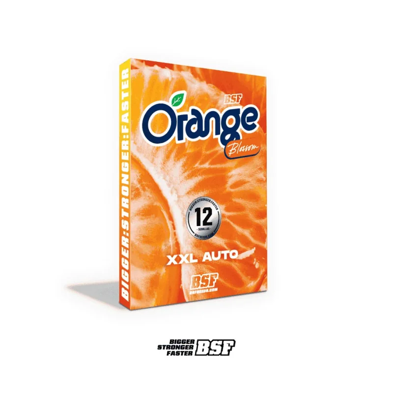 Orange Blossom XXL Auto Marijuana Seeds