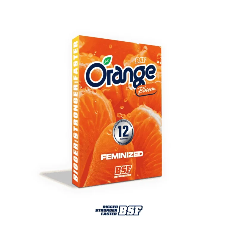 Orange Blossom Marijuana Seeds