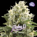 Moby D XXL Auto Marijuana Seeds