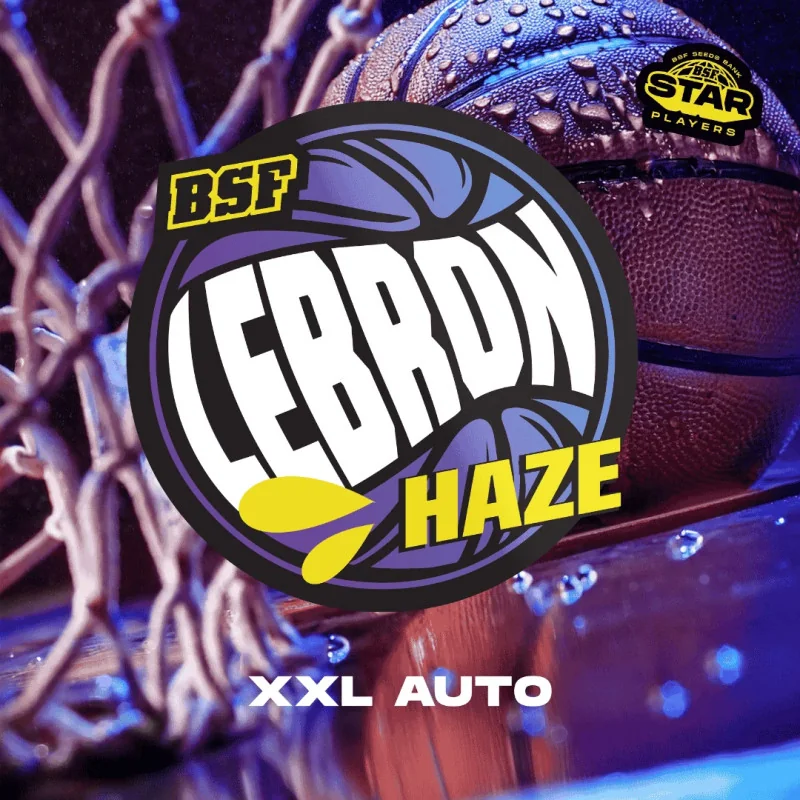 Semillas de Marihuana Lebron Haze XXL Auto