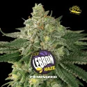Semillas de Marihuana Lebron Haze