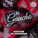 El Gaucho Marijuana Seeds