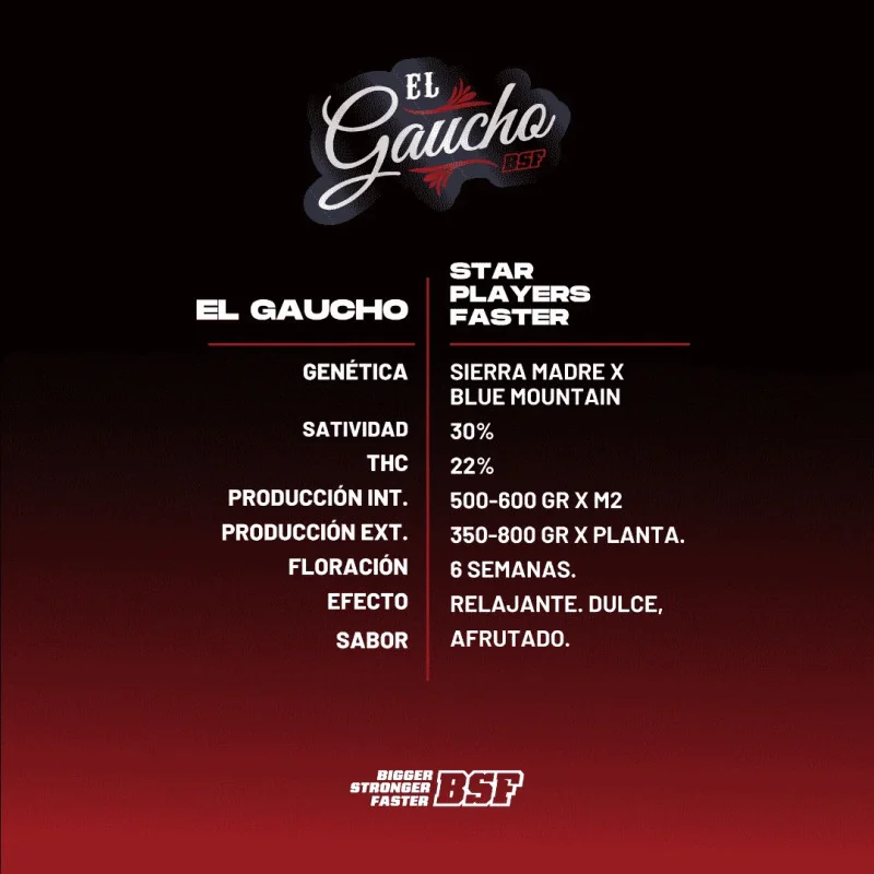 El Gaucho Marijuana Seeds