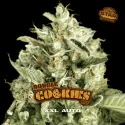 Double Cookies Auto Marijuana Seeds