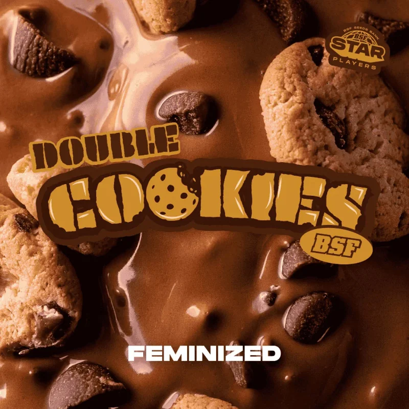 Double Cookies Marijuana Seeds