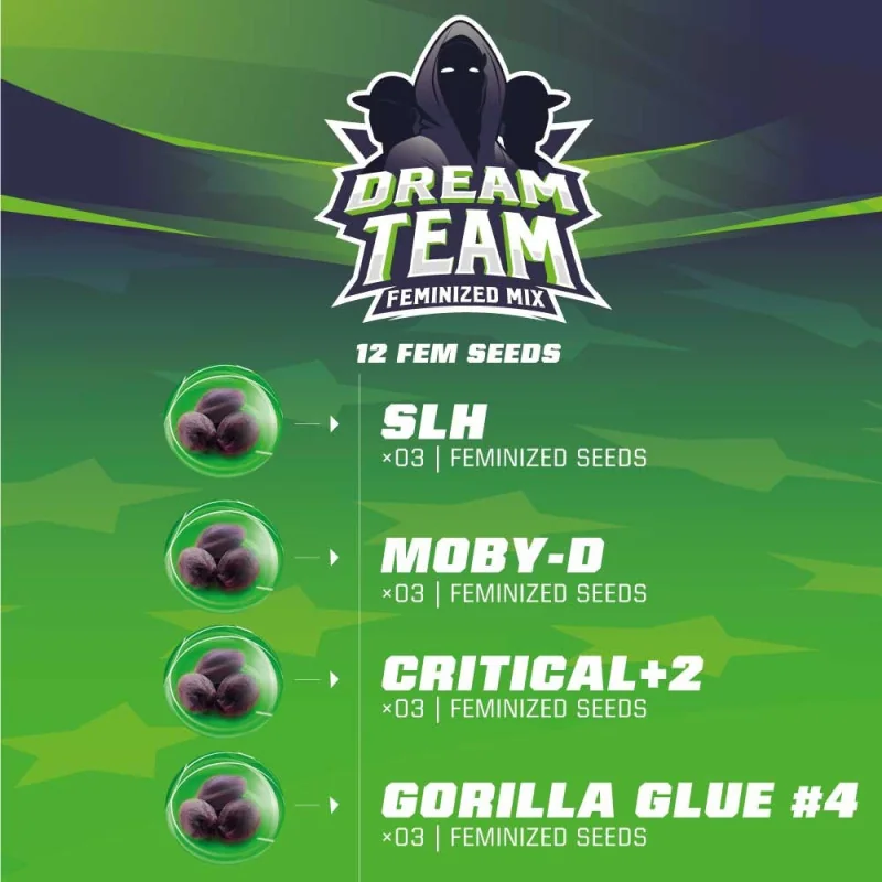 Dream Team Feminized Mix: las mejores genÈticas feminizadas Marijuana Seeds