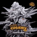 Double Cookies Marijuana Seeds