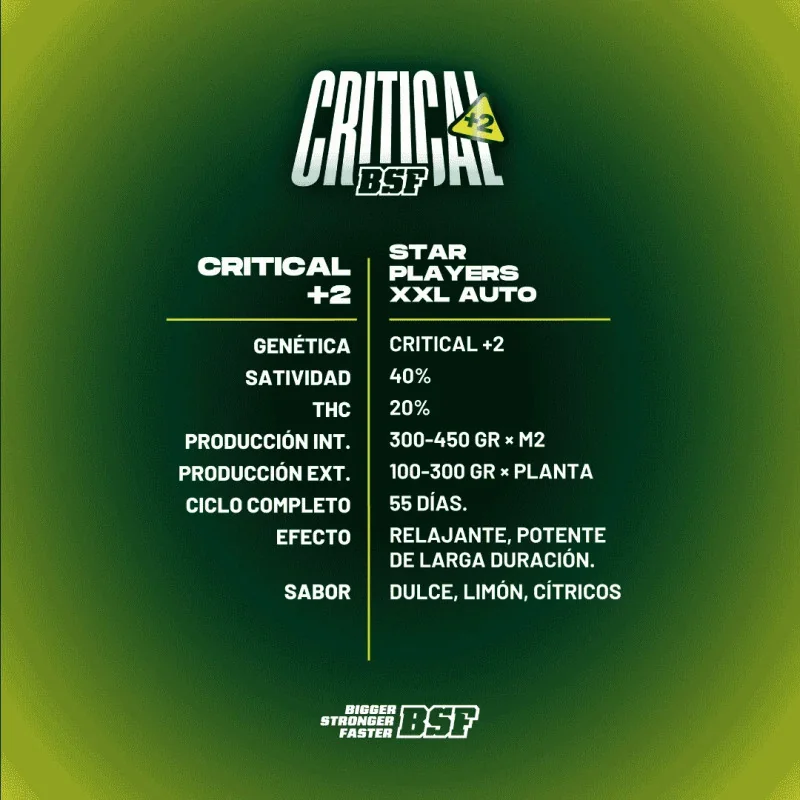 Critical +2 XXL Auto Marijuana Seeds