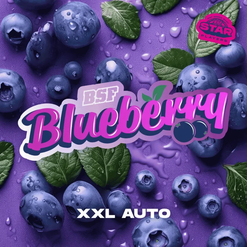 Blueberry XXL Auto Marijuana Seeds