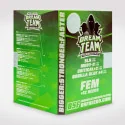 Semillas de Marihuana Dream Team Feminized Mix: las mejores genÈticas feminizadas