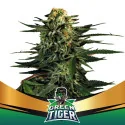 Green Tiger Marijuana Seeds