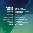 Green Tiger Marijuana Seeds