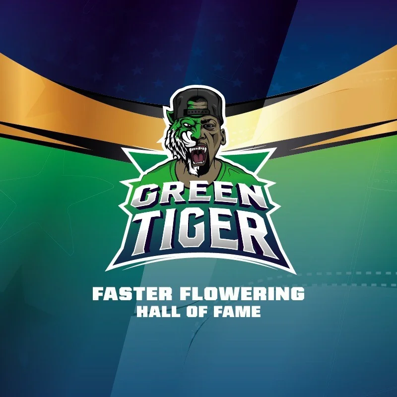Semillas de Marihuana Green Tiger