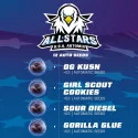 All Stars USA Automix Marijuana Seeds