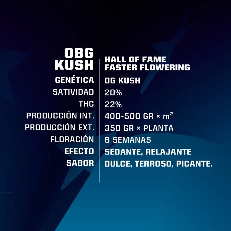 Semillas de Marihuana OBG Kush