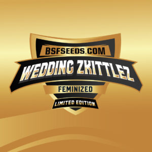 Limited Edition - Wedding Zkitellz