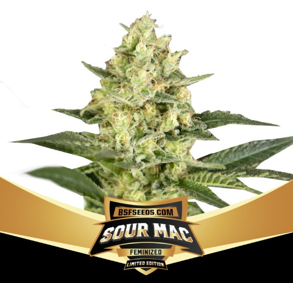 Limited Edition - Sour Mac