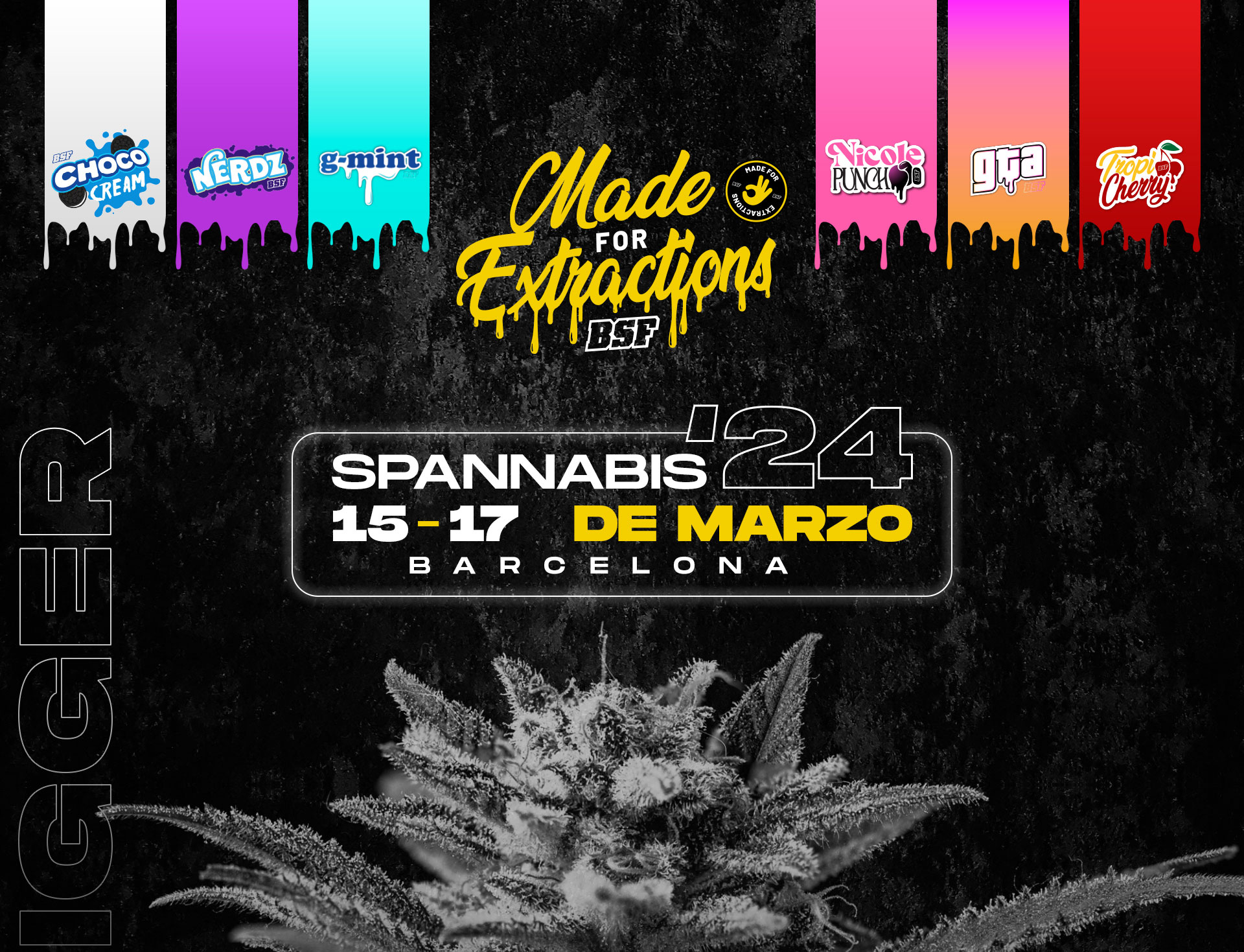 Spannabis 2024 BSF Seeds