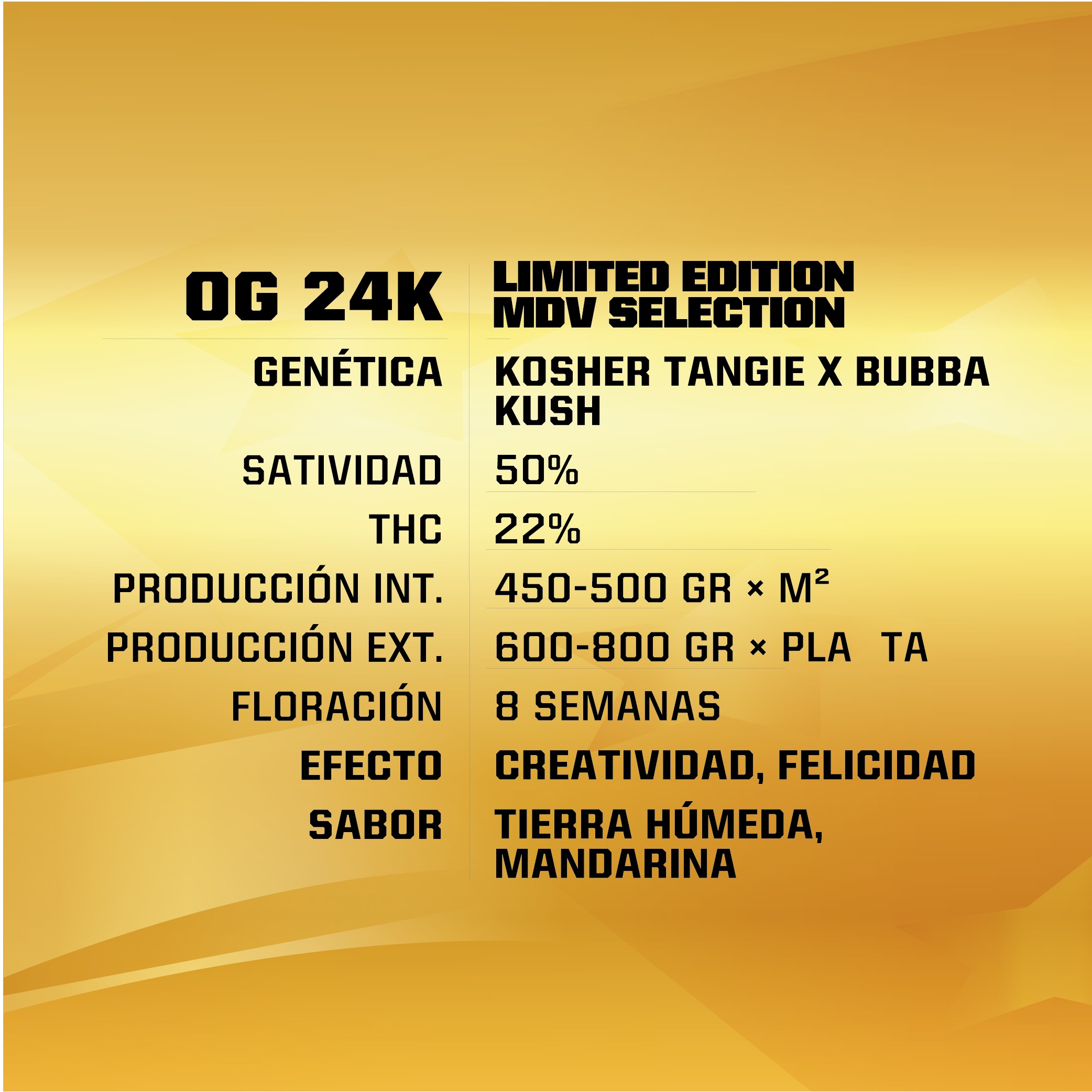 productos_OG-24-FEM-GEN-LE-1.jpg