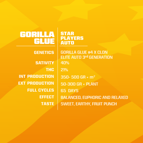 Purchase Gorilla Glue Auto 21