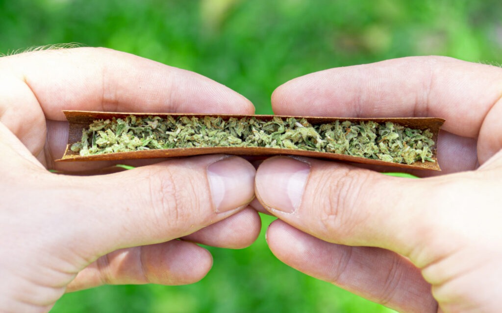 ▷ What is a Blunt and how to prepare it? - BSF Seeds UK